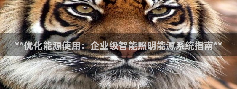 **优化能源使用：企业级智能照明能源系统指南**
