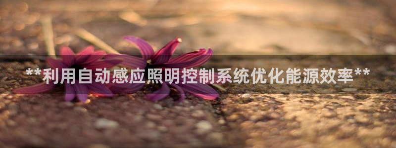 **利用自动感应照明控制系统优化能源效率**