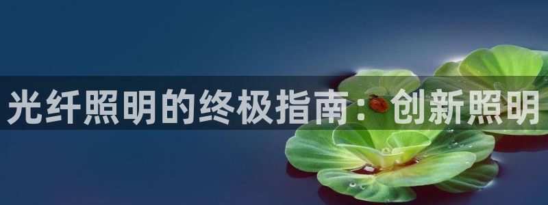 光纤照明的终极指南:创新照明
