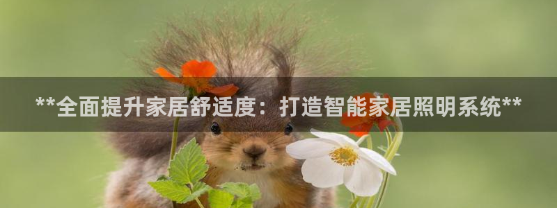 **全面提升家居舒适度：打造智能家居照明系统**