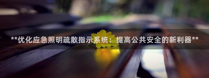 **优化应急照明疏散指示系统:提高公共安全的新利器**