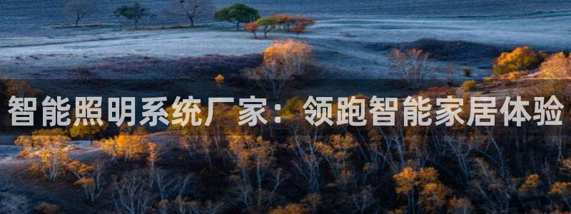 智能照明系统厂家：领跑智能家居体验