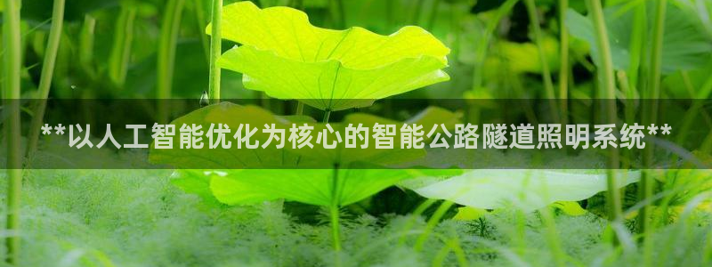 **以人工智能优化为核心的智能公路隧道照明系统**