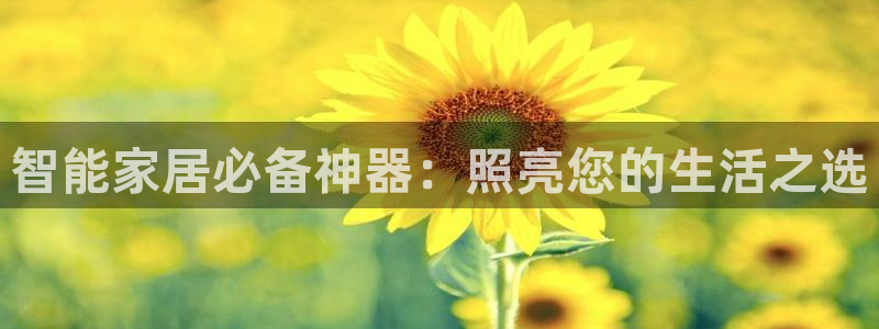 智能家居必备神器：照亮您的生活之选