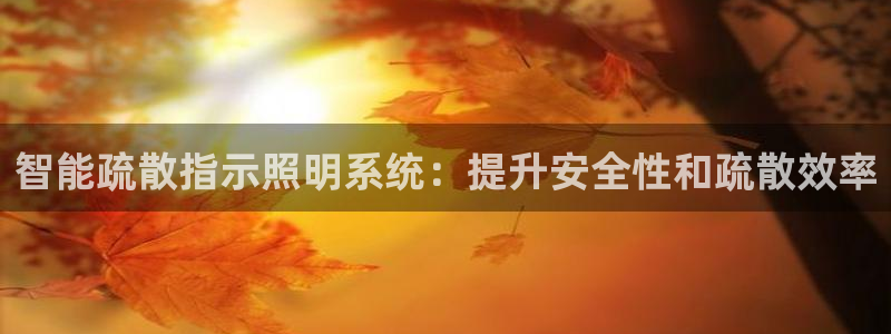 智能疏散指示照明系统：提升安全性和疏散效率