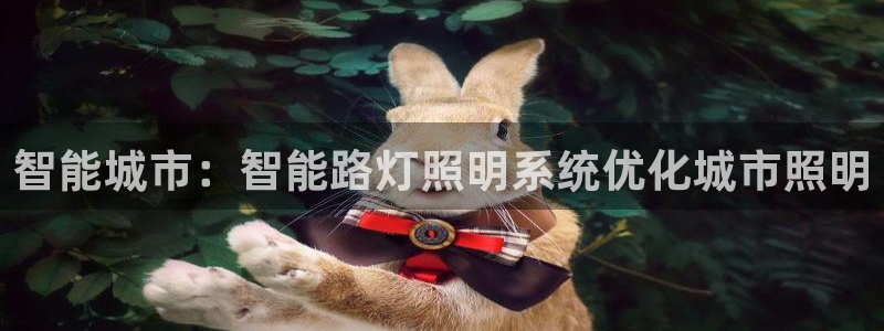 智能城市：智能路灯照明系统优化城市照明