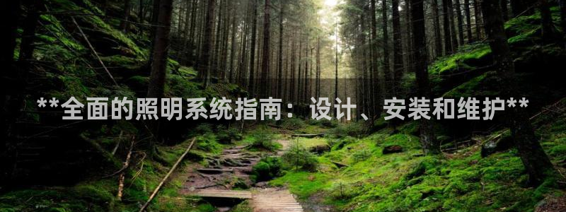 **全面的照明系统指南：设计、安装和维护**