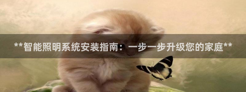 **智能照明系统安装指南：一步一步升级您的家庭**