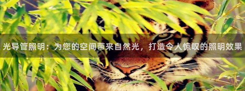 光导管照明：为您的空间带来自然光，打造令人惊叹的照明效果