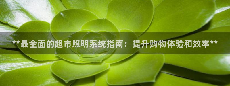 **最全面的超市照明系统指南：提升购物体验和效率**