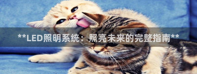 **LED照明系统：照亮未来的完整指南**