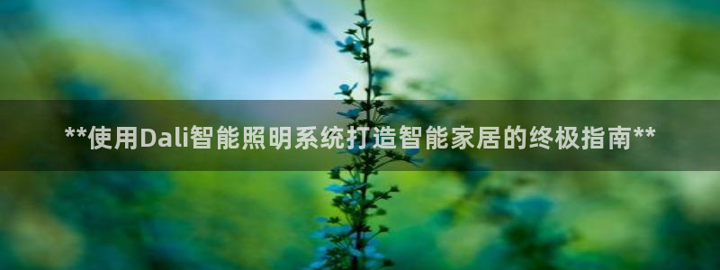 **使用Dali智能照明系统打造智能家居的终极指南**