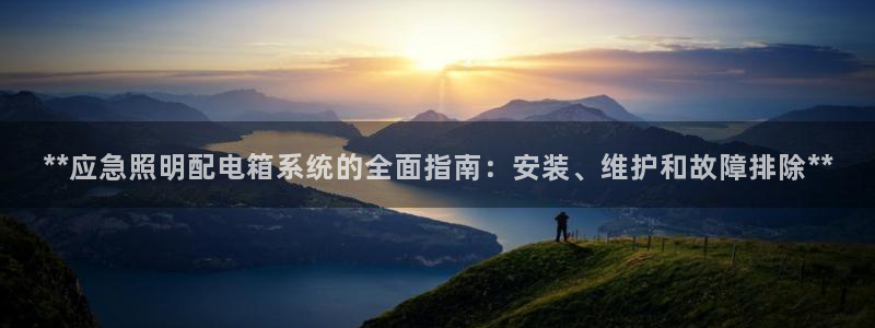 **应急照明配电箱系统的全面指南:安装、维护和故障排除**
