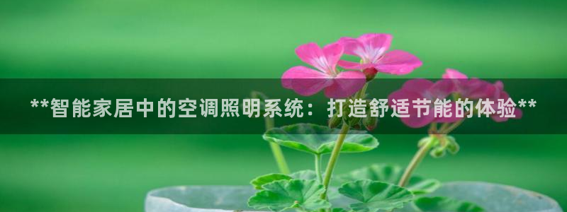 **智能家居中的空调照明系统：打造舒适节能的体验**