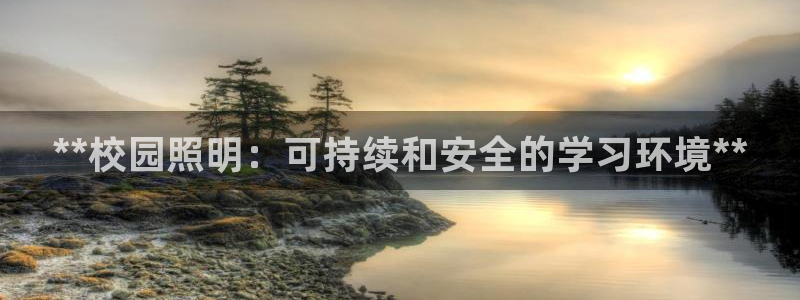 **校园照明：可持续和安全的学习环境**