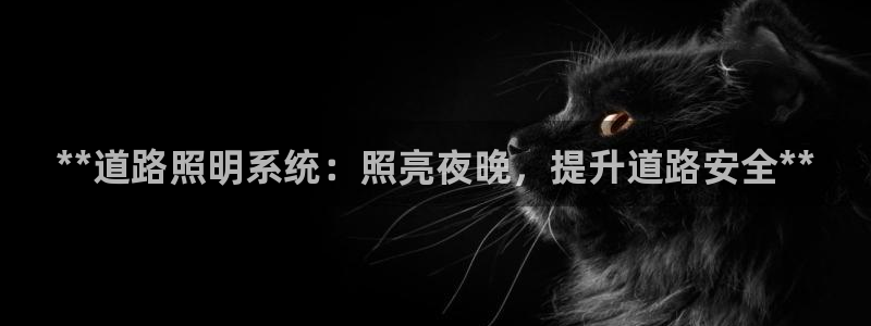 **道路照明系统：照亮夜晚，提升道路安全**