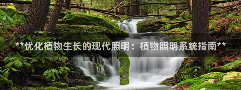 **优化植物生长的现代照明：植物照明系统指南**