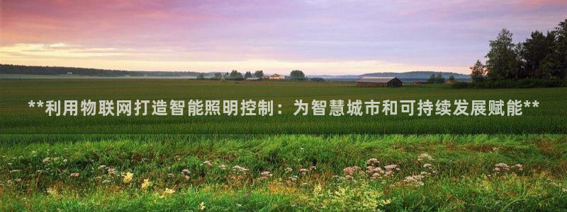 **利用物联网打造智能照明控制:为智慧城市和可持续发展赋能**