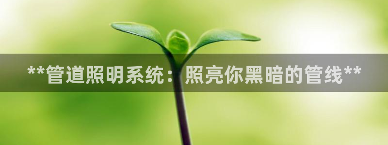 **管道照明系统：照亮你黑暗的管线**