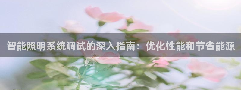 智能照明系统调试的深入指南：优化性能和节省能源