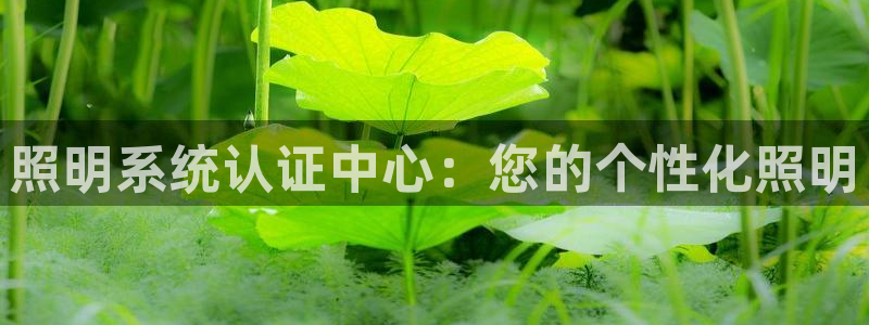 照明系统认证中心：您的个性化照明