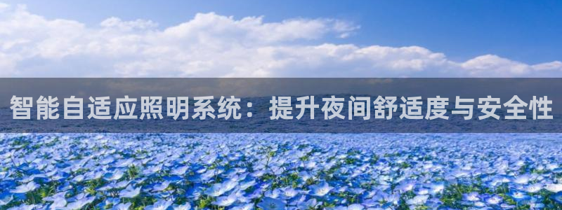 智能自适应照明系统:提升夜间舒适度与安全性