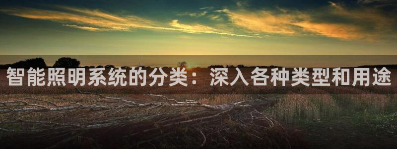 智能照明系统的分类：深入各种类型和用途