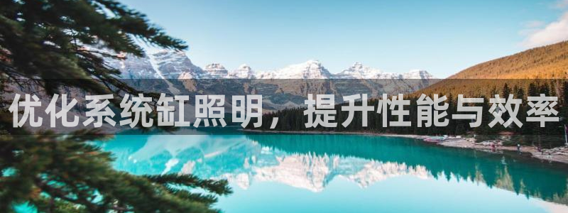 优化系统缸照明，提升性能与效率