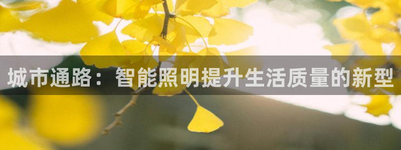 城市通路：智能照明提升生活质量的新型