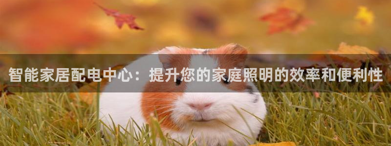 智能家居配电中心：提升您的家庭照明的效率和便利性