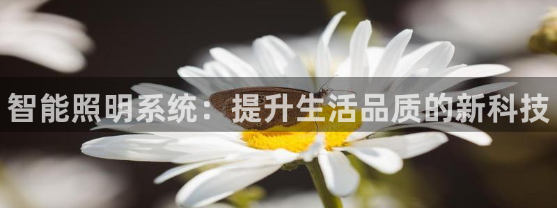 智能照明系统：提升生活品质的新科技