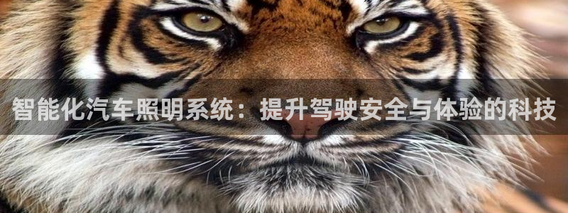 智能化汽车照明系统：提升驾驶安全与体验的