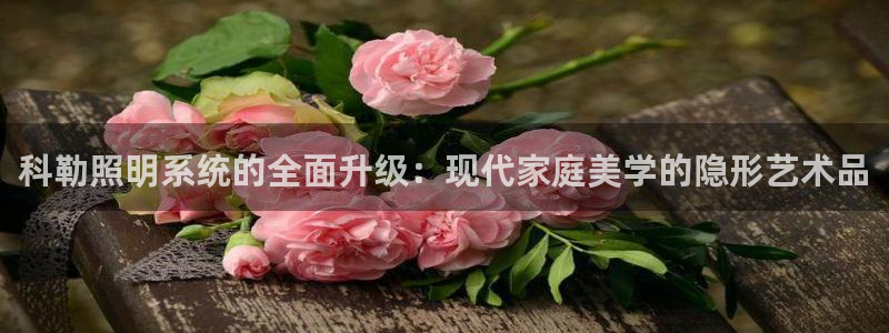 科勒照明系统的全面升级：现代家庭美学的隐
