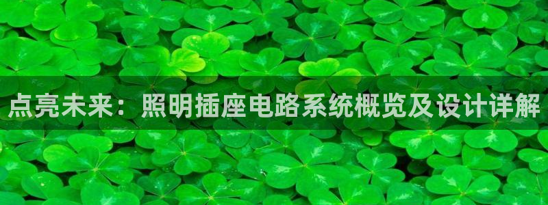 点亮未来:照明插座电路系统概览及设计详解