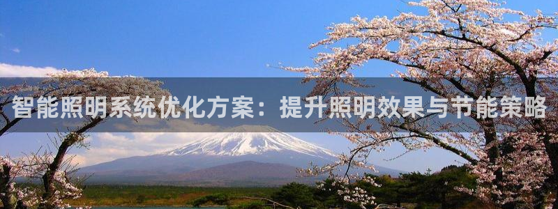 智能照明系统优化方案：提升照明效果与节能策略