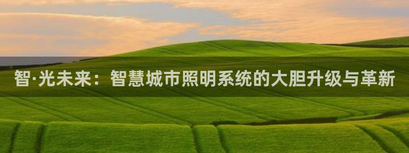 智·光未来：智慧城市照明系统的大胆升级与革新