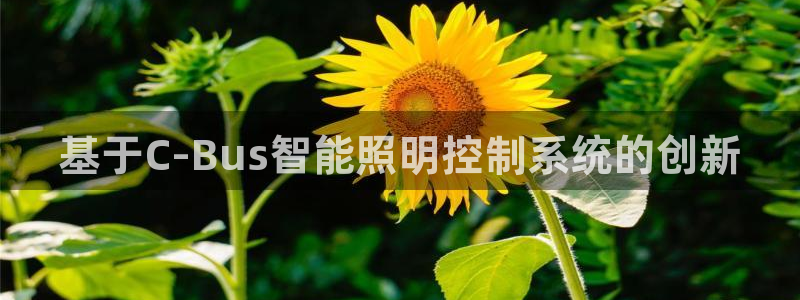 基于C-Bus智能照明控制系统的创新