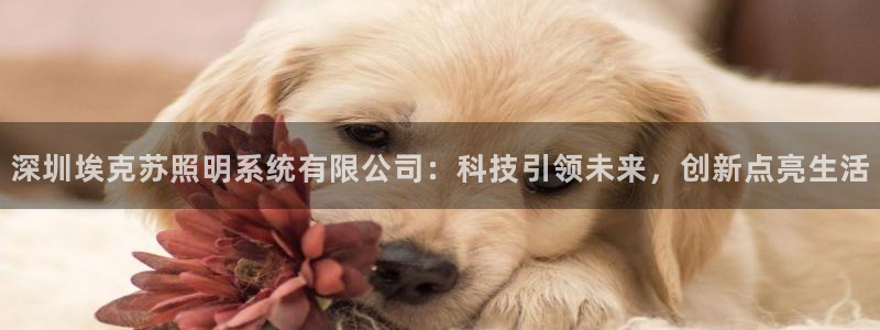 深圳埃克苏照明系统有限公司：科技引领未来