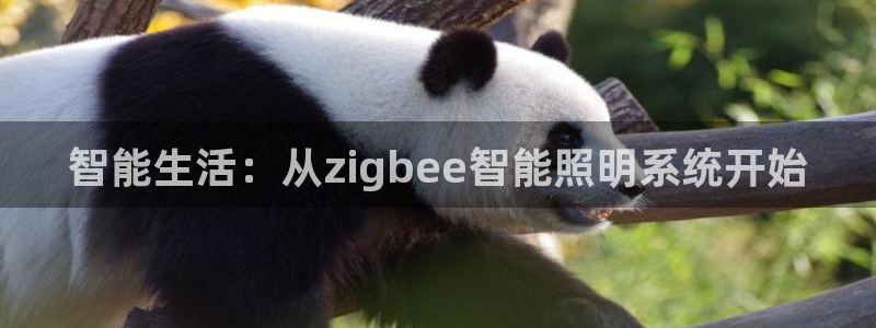 智能生活：从zigbee智能照明系统开始