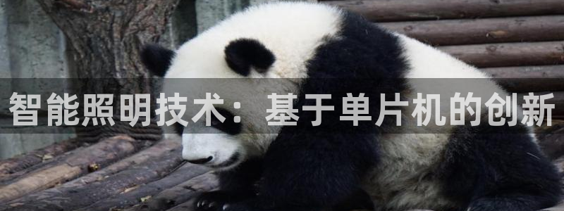 智能照明技术：基于单片机的创新