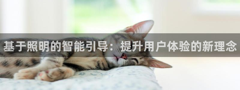 基于照明的智能引导：提升用户体验的新理念