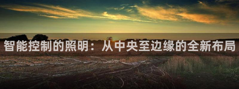 智能控制的照明：从中央至边缘的全新布局