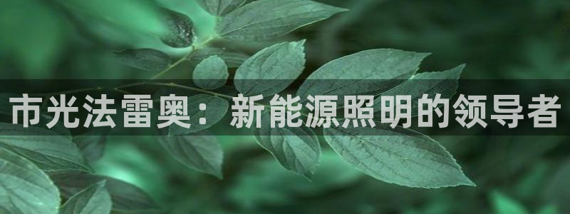 市光法雷奥：新能源照明的领导者