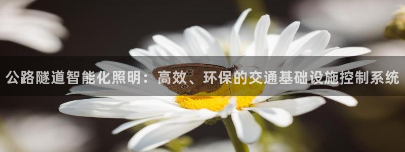 公路隧道智能化照明：高效、环保的交通基础设施控制系统