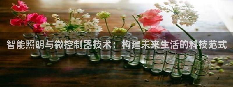 智能照明与微控制器技术：构建未来生活的科技范式