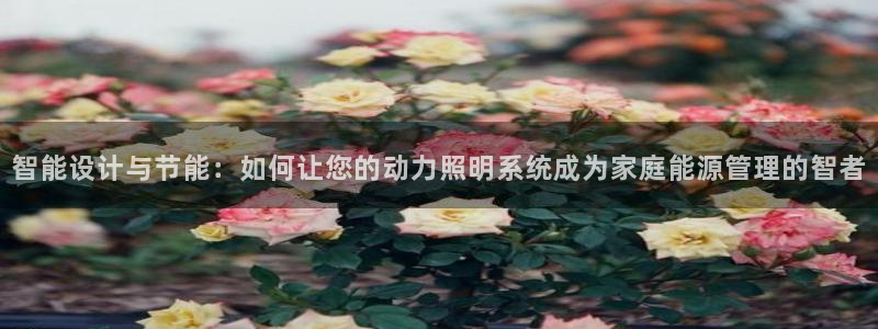 智能设计与节能:如何让您的动力照明系统成为家庭能源管理的智者