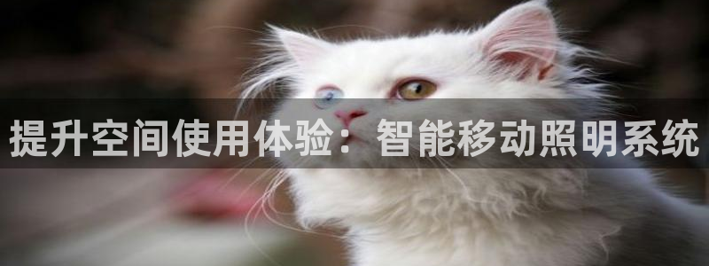 提升空间使用体验：智能移动照明系统