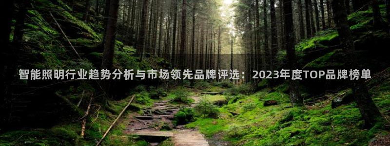 智能照明行业趋势分析与市场领先品牌评选：2023年度TOP品牌榜单