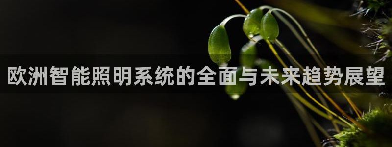 欧洲智能照明系统的全面与未来趋势展望