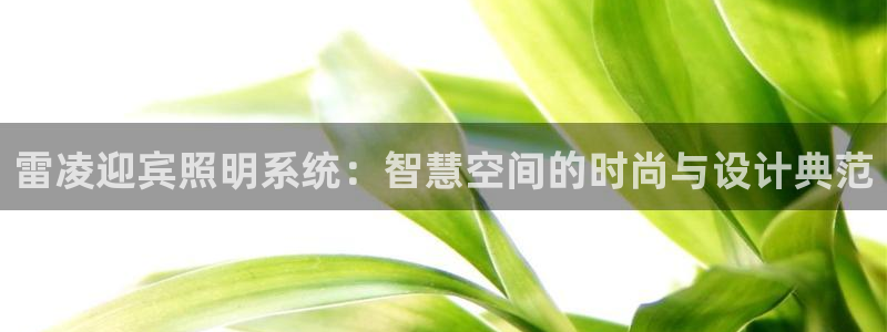 雷凌迎宾照明系统：智慧空间的时尚与设计典